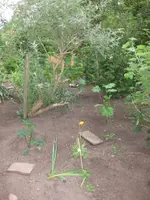 Beet_vorne_Nachher (4).webp