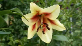 DSC03659.webp
