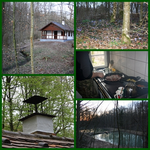 Collage II.webp