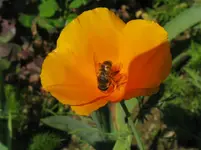IMG_4651_1067x800.webp
