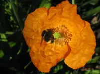 IMG_4654_1067x800.webp