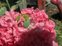 IMG_4680_1067x800.webp