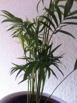 IMG_1402.webp
