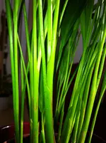 IMG_1406.webp