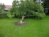 DSCF0634.webp