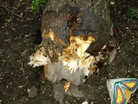 DSCF0636.webp