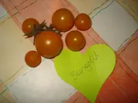 DSC02036.webp