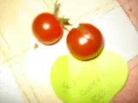 DSC02038.webp