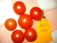 DSC02040.webp