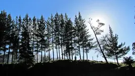 tn_IMG_4062 v.webp
