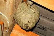 DSCN0001_3.webp