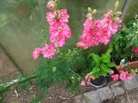 k-DSCF0015.webp