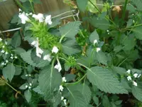k-DSCF0014.webp