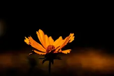 40D 100mmL2,8 Macro (16 von 22).webp