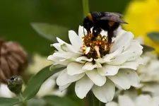 7D Sigma 18-125 OS HSM (22 von 74).webp