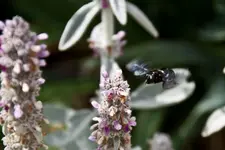 7D Sigma 18-125 OS HSM (65 von 74).webp