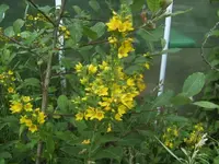 BILD0681.webp