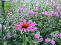 CIMG1200.webp