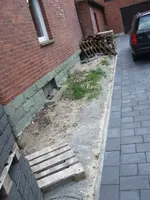 DSCF4920.webp