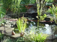 DSC00230.webp