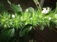 k-DSCF0029.webp