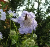 06072011 005_a.webp