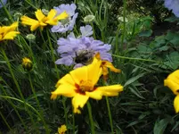 06072011 006.webp