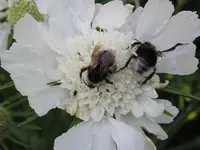 06072011 011.webp
