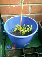 Bild038.webp