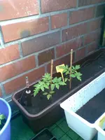 Bild037.webp
