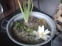 WP_000055.webp
