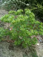 Foto.webp