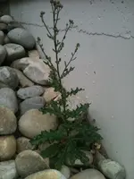 Foto1.webp