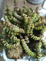 Foto3.webp