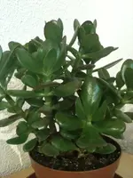 Foto4.webp