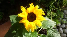 004.webp