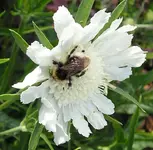 06072011 007_b.webp
