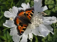 06072011 009.webp