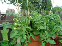 SDC12644.webp