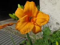 Bild big time happy_1067x800.webp