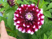 Bild 102_1067x800.webp