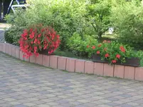 IMG_3150.webp
