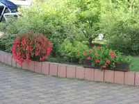 IMG_3151.webp