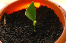 SAM_3067.webp SAM_3067.webp