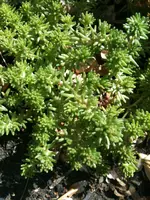 Foto2.webp