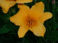 DSCI1491.webp