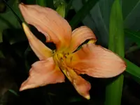 DSCI1493.webp