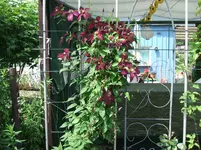 2011_0705070006.webp