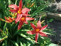 2011_0705070072.webp
