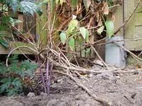 2011 07 09 001.webp